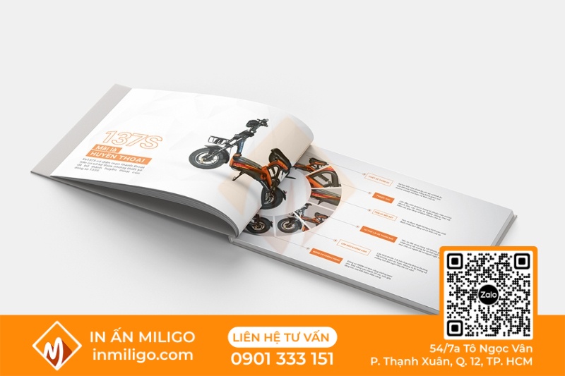 báo giá thiết kế catalogue