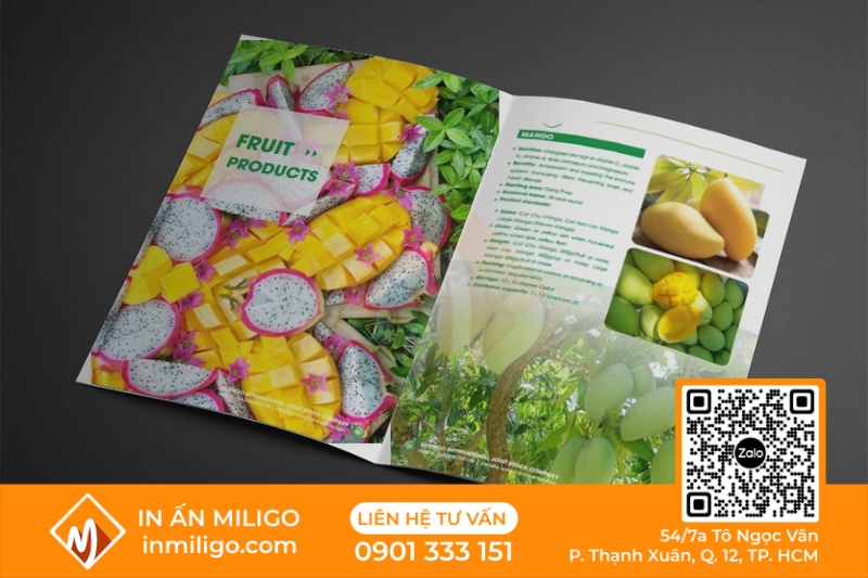 báo giá thiết kế catalogue
