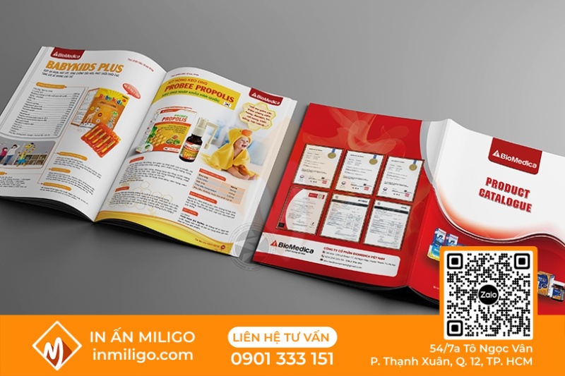 báo giá thiết kế catalogue