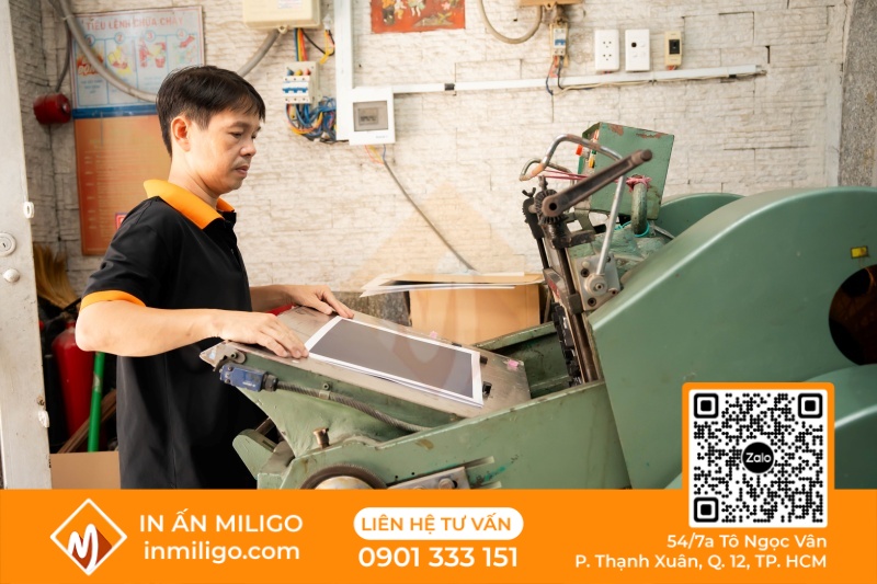 chất liệu giấy in catalogue
