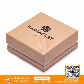 hộp carton in logo