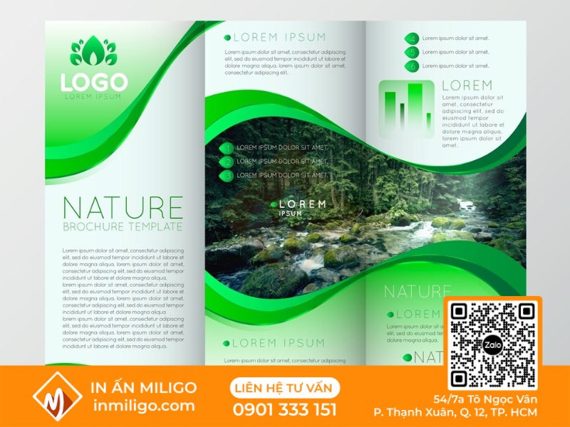 in brochure