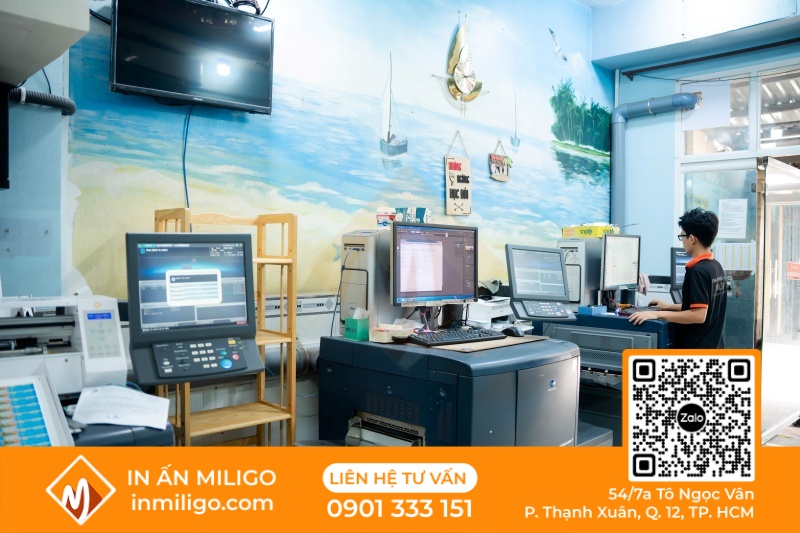 in catalogue bìa cứng