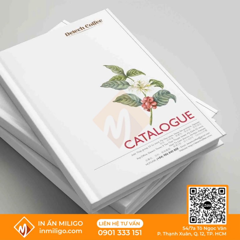 in catalogue bìa cứng