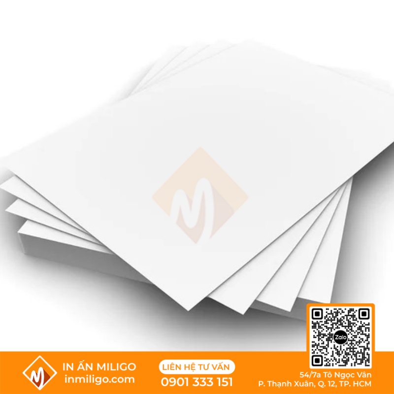 in catalogue giấy mỹ thuật