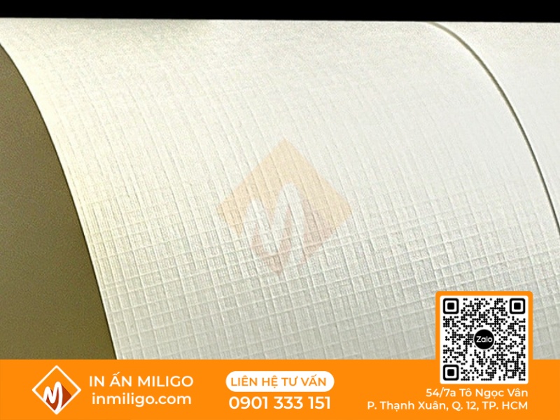 in catalogue giấy mỹ thuật