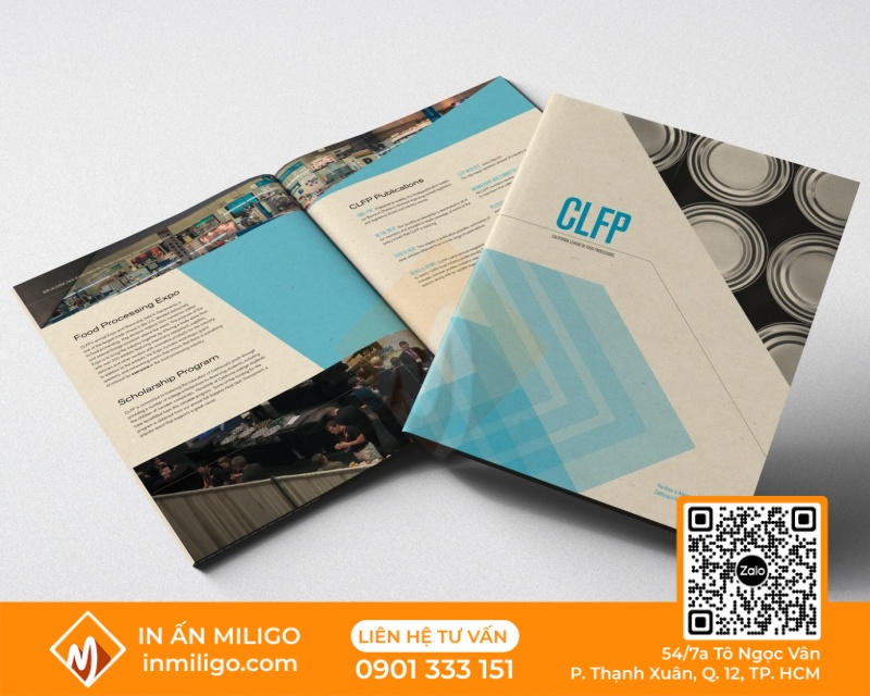 in catalogue giấy mỹ thuật