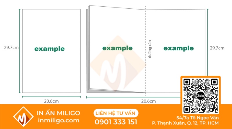 in catalogue giấy mỹ thuật