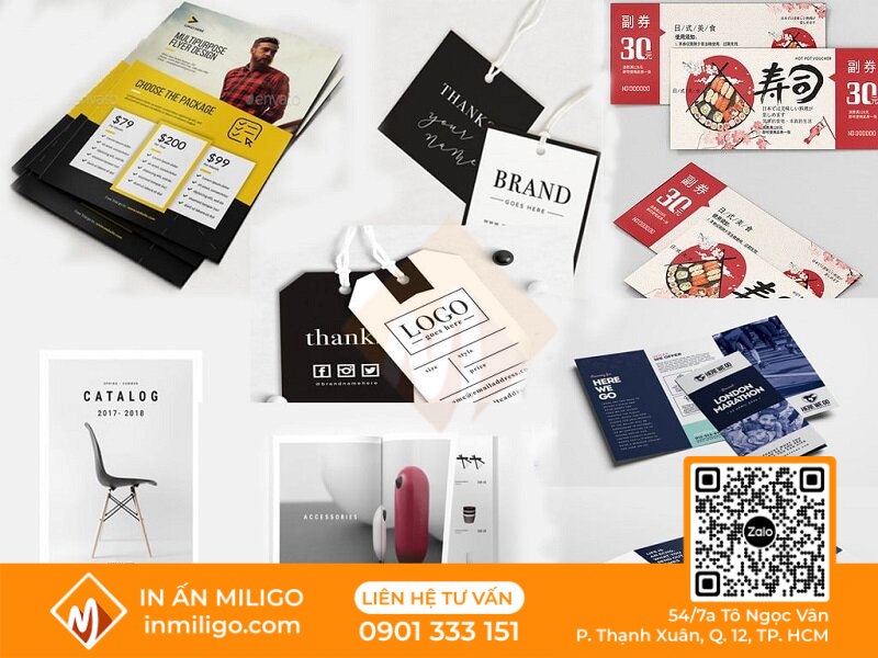 thiết kế catalogue