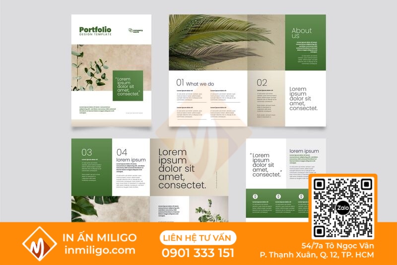 thiết kế catalogue
