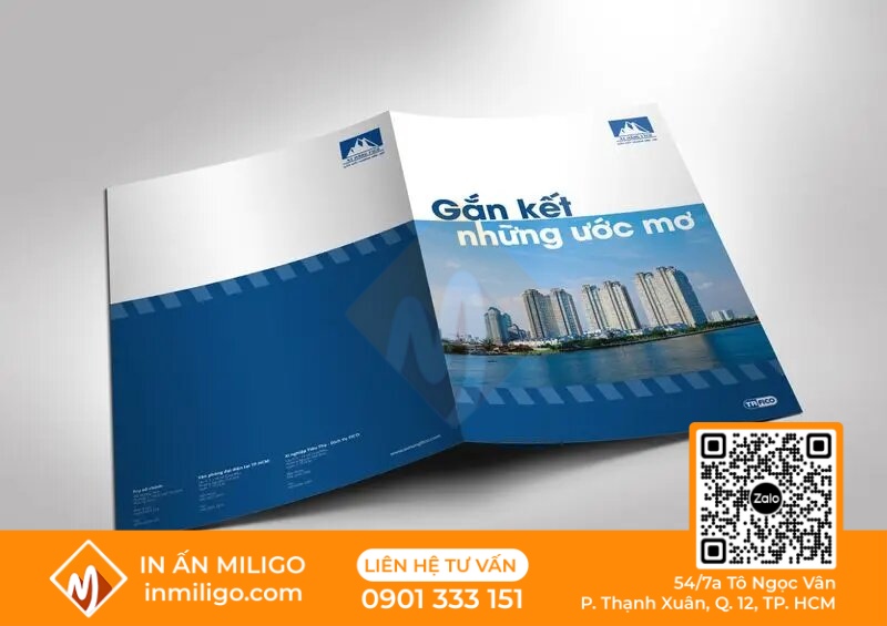 thiết kế catalogue