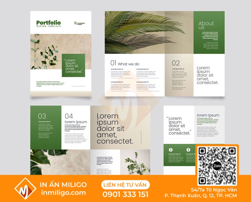 thiết kế catalogue