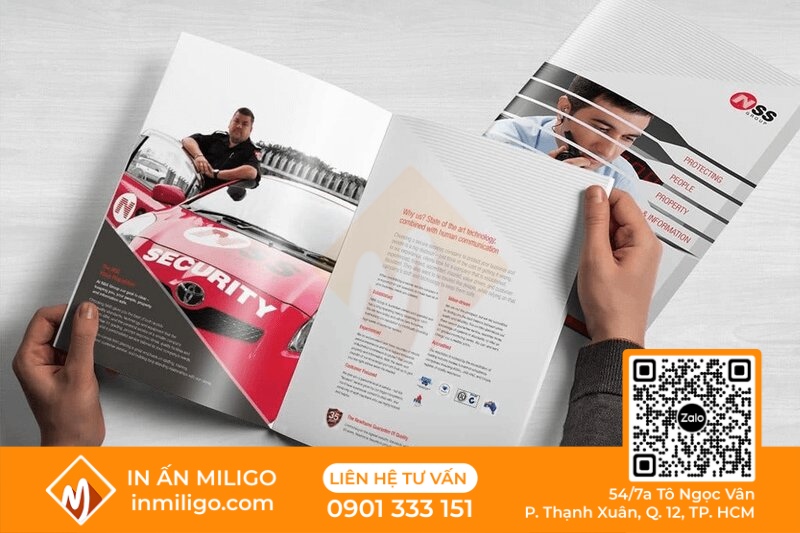 thiết kế catalogue