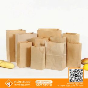 in túi giấy kraft