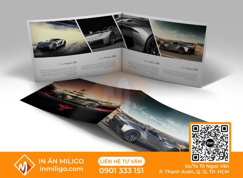 in catalogue ô tô