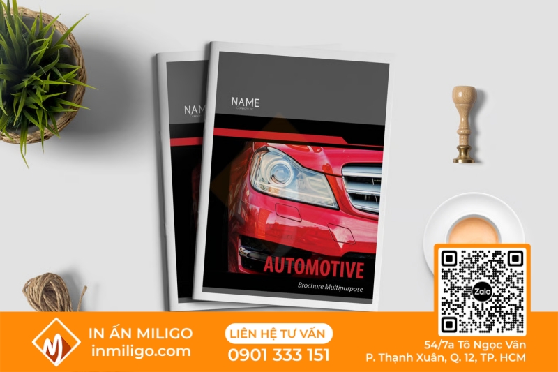 in catalogue ô tô