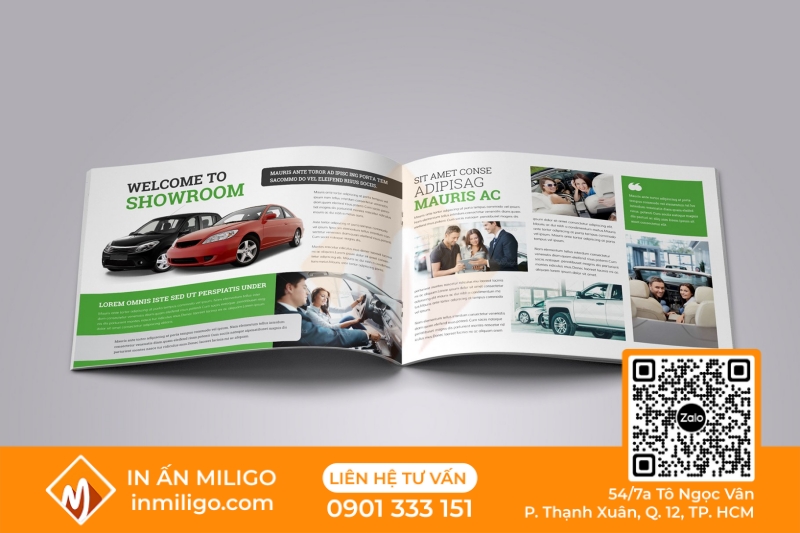 in catalogue ô tô