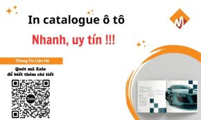 in catalogue ô tô