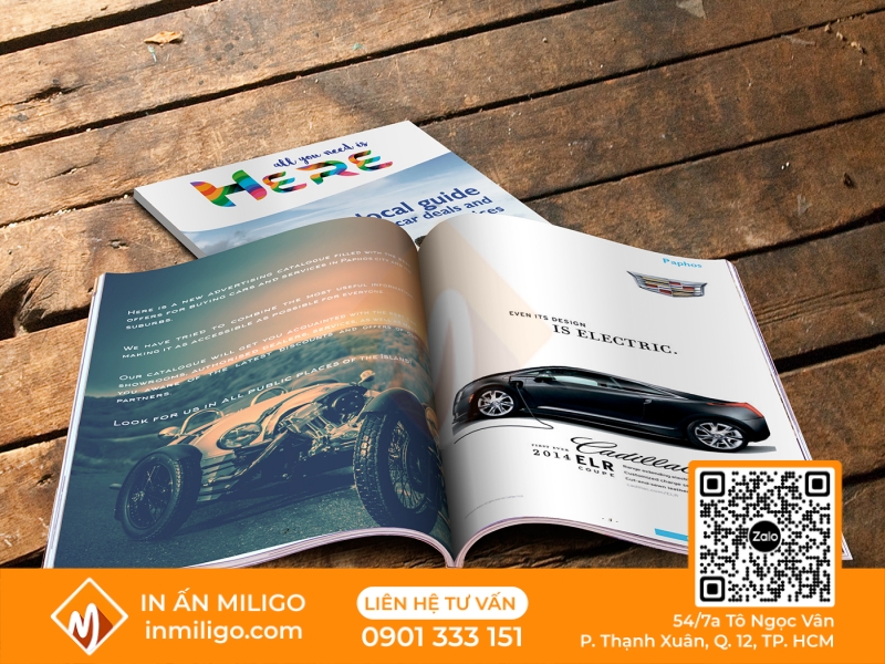 in catalogue ô tô