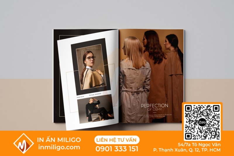 in catalogue thời trang