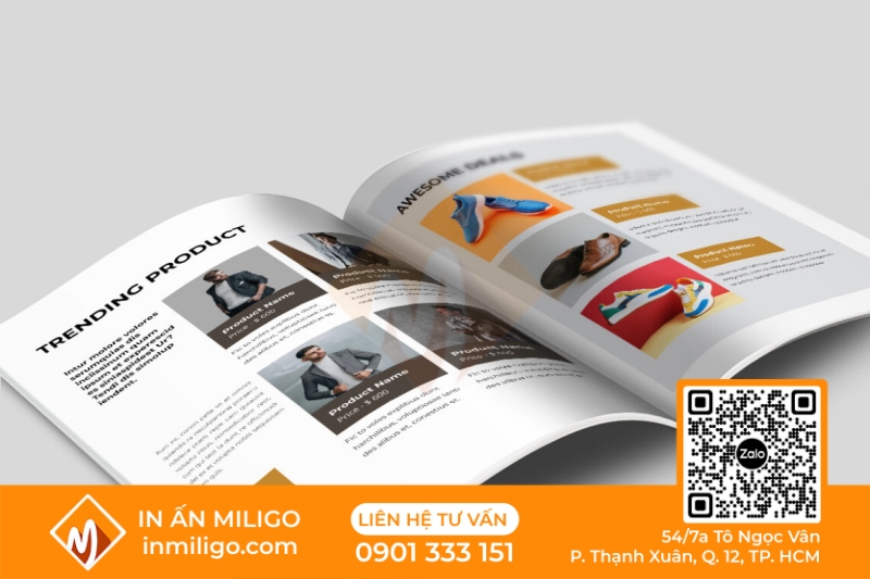 in catalogue thời trang