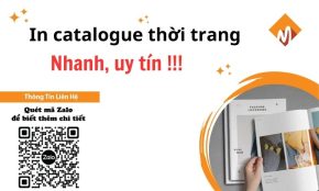 In catalogue thời trang