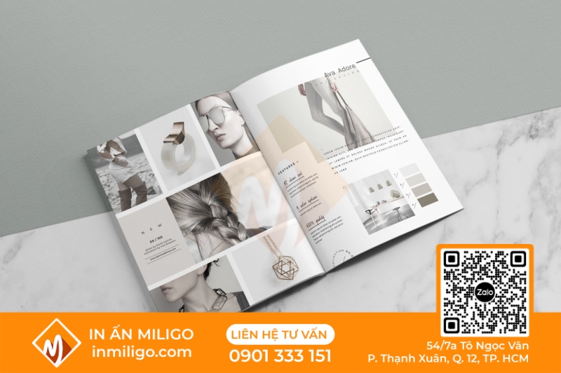 in catalogue thời trang