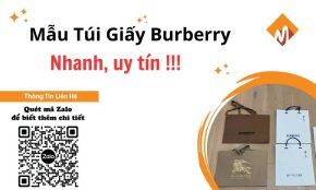tui giay burberry 1 1