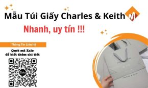 tui giay charles keith 1