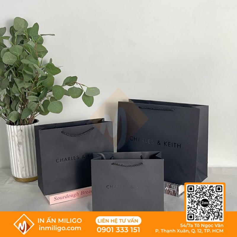 Túi giấy Charles & Keith