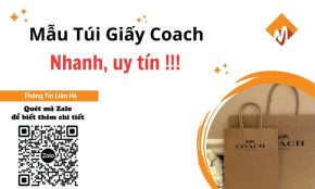 túi giấy Coach