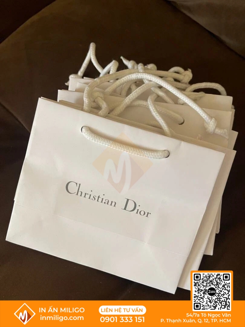 túi giấy Dior