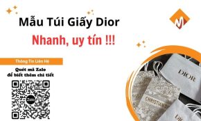 túi giấy Dior