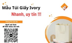 tui giay ivory 25 1