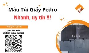 Túi Giấy Pedro