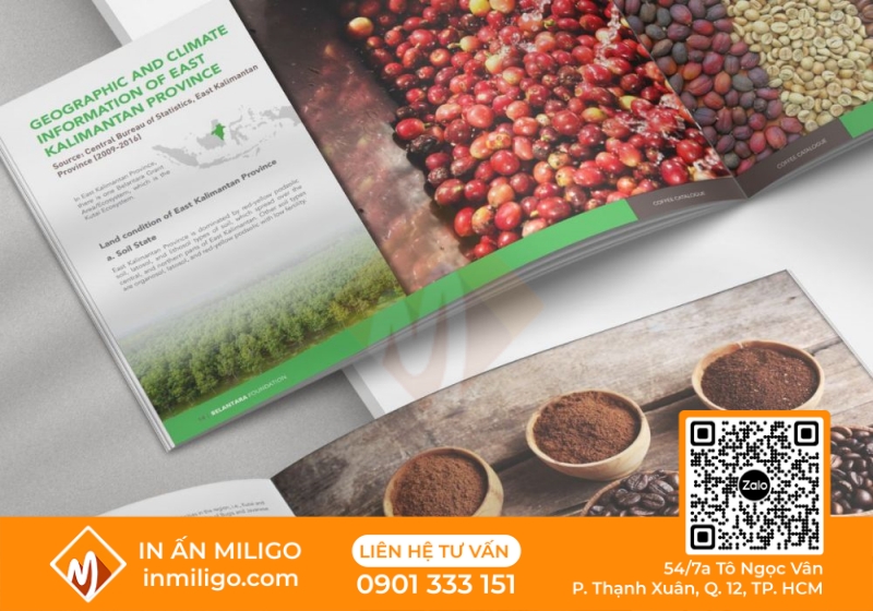 in catalogue coffee
