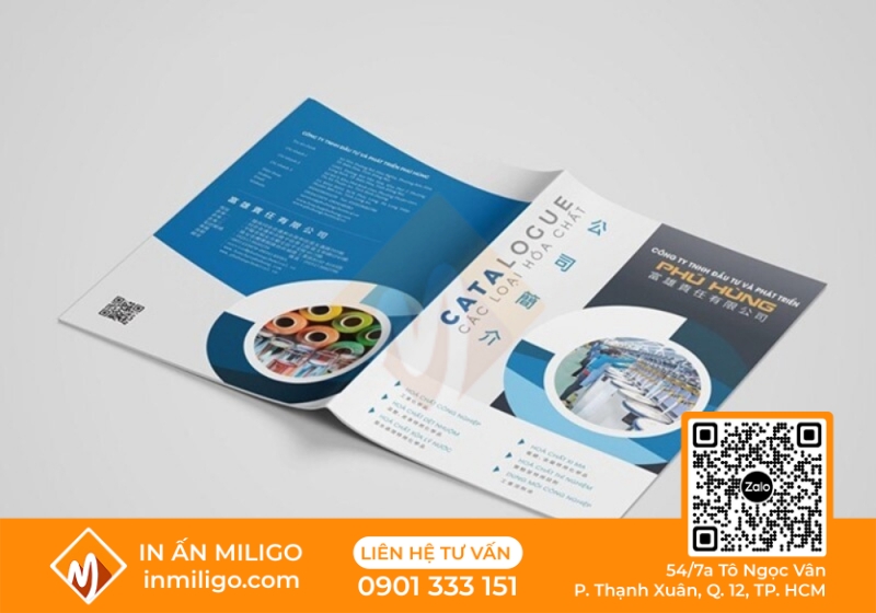 in catalogue giới thiệu công ty