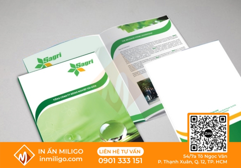 in catalogue giới thiệu công ty