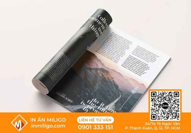 in catalogue du lịch