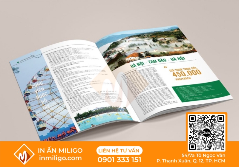 in catalogue du lịch