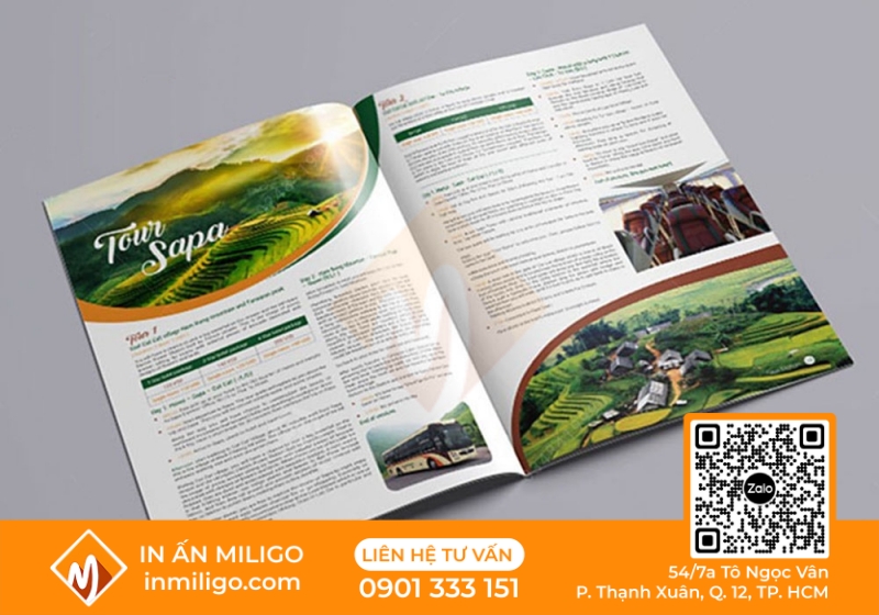 in catalogue du lịch