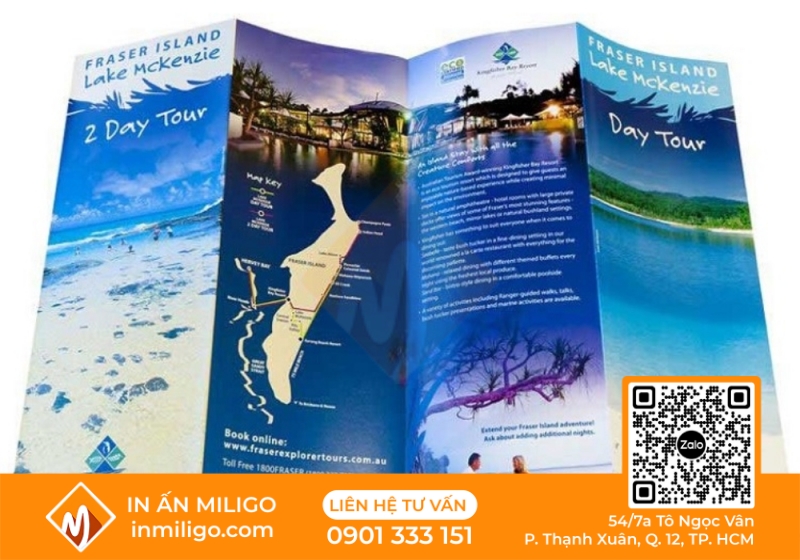 in catalogue du lịch