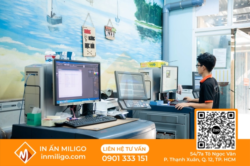 in catalogue du lịch