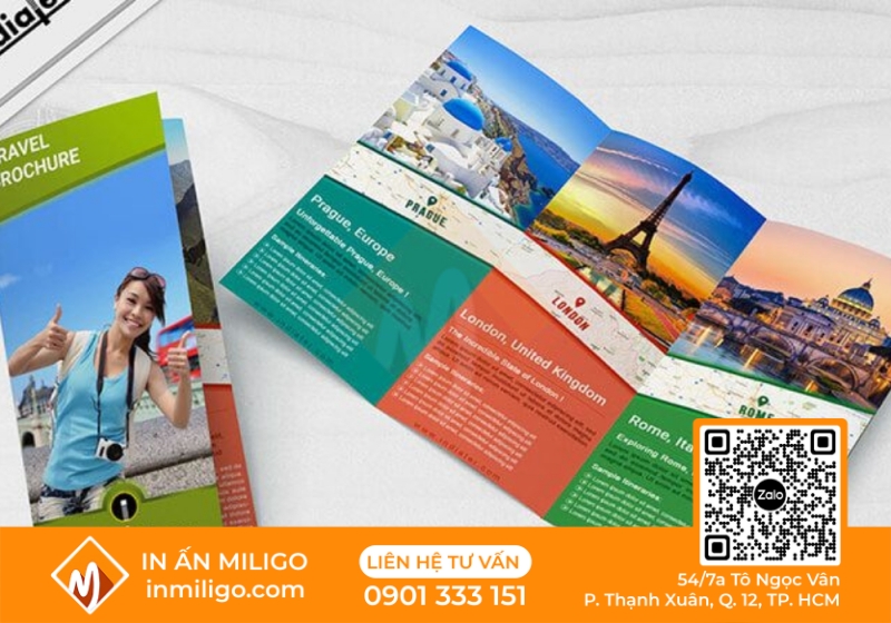 in catalogue du lịch
