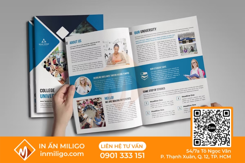 In catalogue ngành giáo dục