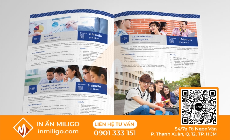 In catalogue ngành giáo dục