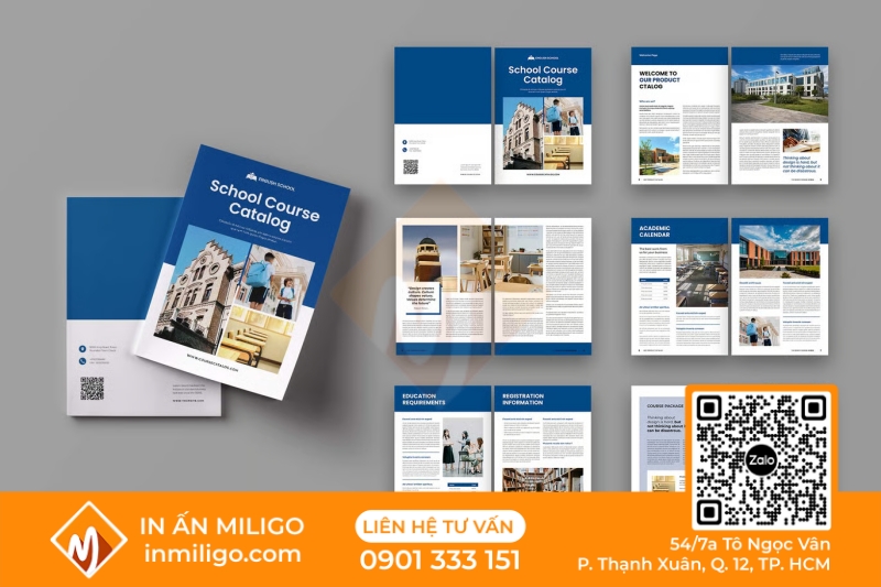 In catalogue ngành giáo dục