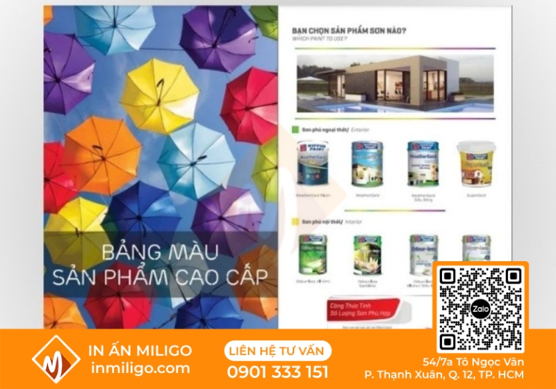 in catalogue sơn