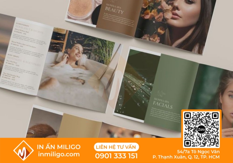 in catalogue spa