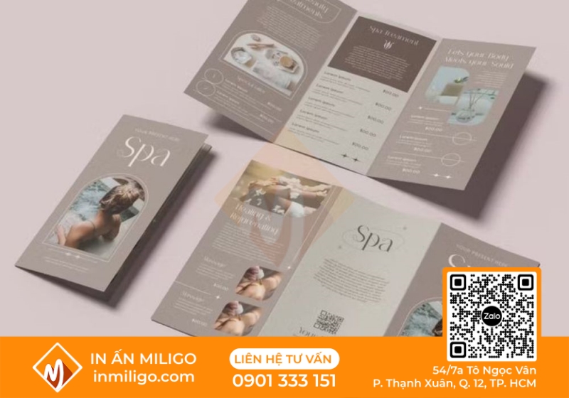 in catalogue spa